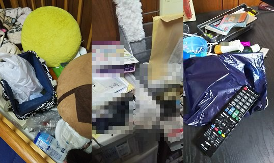 汚部屋じゃなくてお部屋と呼びたいのッ!